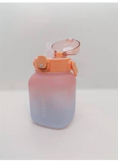 1100 ml Flask with Pipet Orange VGN2275P - pzsku/ZB539723A07D3B54CB7E3Z/45/_/1725790271/95be5d1f-f0bb-4daa-aa02-4ccea755bdb8