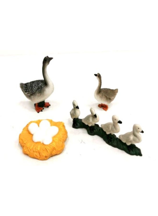 Early Education Cognitive Toys Solid Animal Models Realistic Frog Sea Turtle Mosquito Ant Cockroach Life Cycle-Color:Goose Growth Cycle 55.3g - Image 1