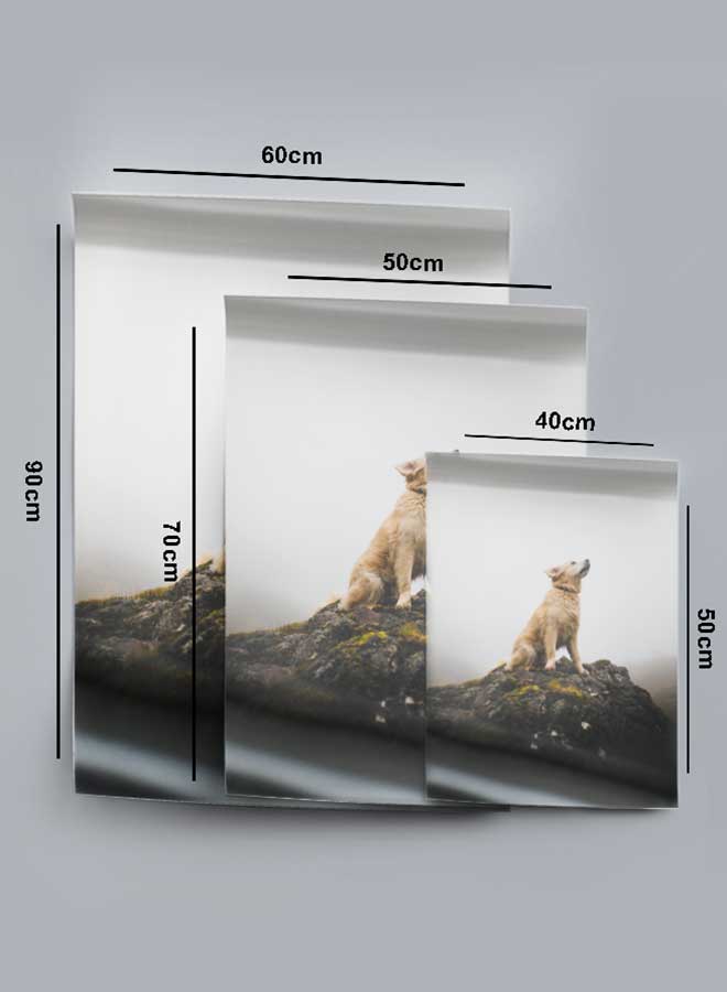 LOWHA Poster Painting Art With Four Separate Pieces Of Double-Sided Stickers Dog On Rock Top For Home Bedroom Living Room And Office Decor  - Image 4