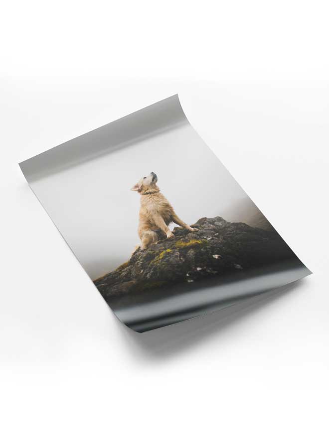 LOWHA Poster Painting Art With Four Separate Pieces Of Double-Sided Stickers Dog On Rock Top For Home Bedroom Living Room And Office Decor  - Image 1
