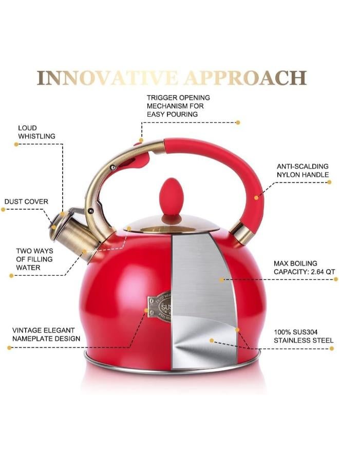 Surgical Stainless Steel Tea Kettle with Cool Touch Ergonomic Handle, Includes Free Silicone Pressure Glove - Image 3