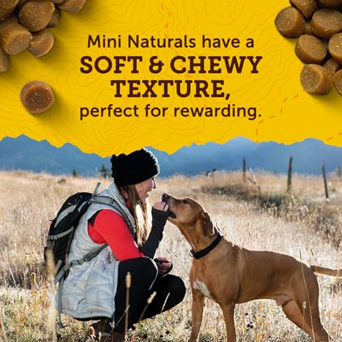 Zuke's Zuke’s Mini Naturals Soft And Chewy Dog Treats For Training Pouch, Natural Treat Bites With Beef Recipe - 6 oz. Bag - Image 4