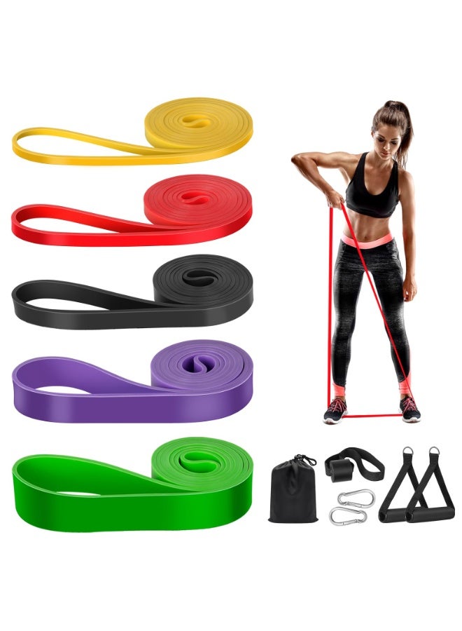 ZERIFAM Resistance Bands Set, 5 Pack Sports Exercise Band Strength Training with Door Anchor and Handles, Assist Straps for Pull Ups, Resistance Bands for Men Women, Workout Bands for Home or Gym - Image 1