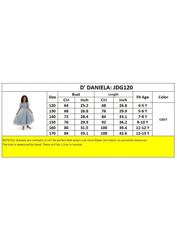 D'Daniela Sparkly Tulle Princess Dress