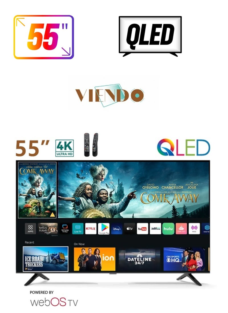 55 inch WebOS Smart 4K QLED V55Q2 - pzsku/ZB53D79886D936F1C3B28Z/45/_/1739966883/9ace4cd9-75ba-4790-bf96-28099f699c6d