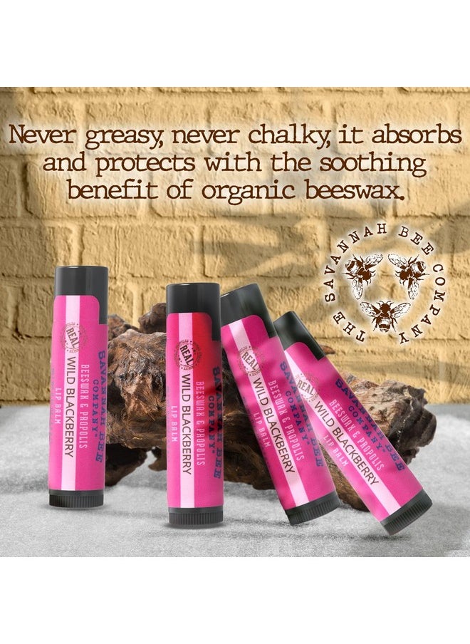 Savannah Bee Company Lip Balm Silky Smooth Natural Balm (Wild Blackberry 3 Pack)  - Image 4