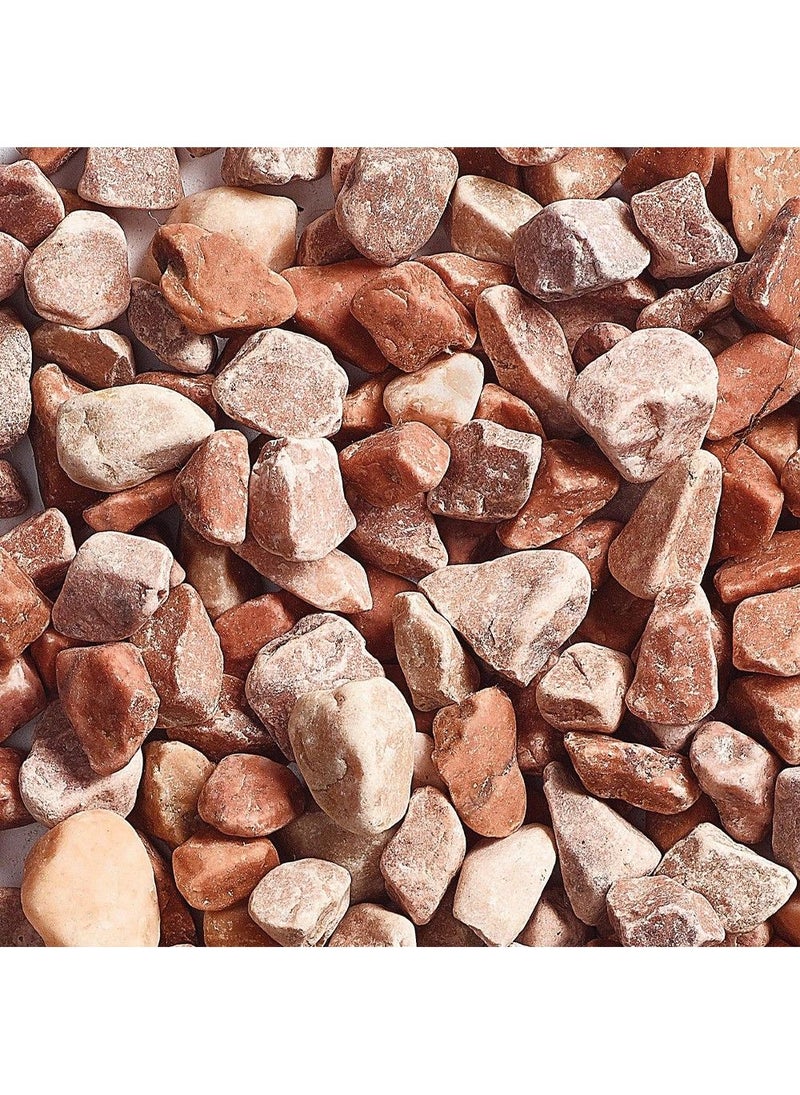 KELKAY Kelkay Pot Toppers Coral Reef 1Kg - Image 3