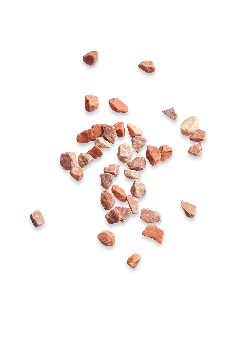 KELKAY Kelkay Pot Toppers Coral Reef 1Kg - Image 2