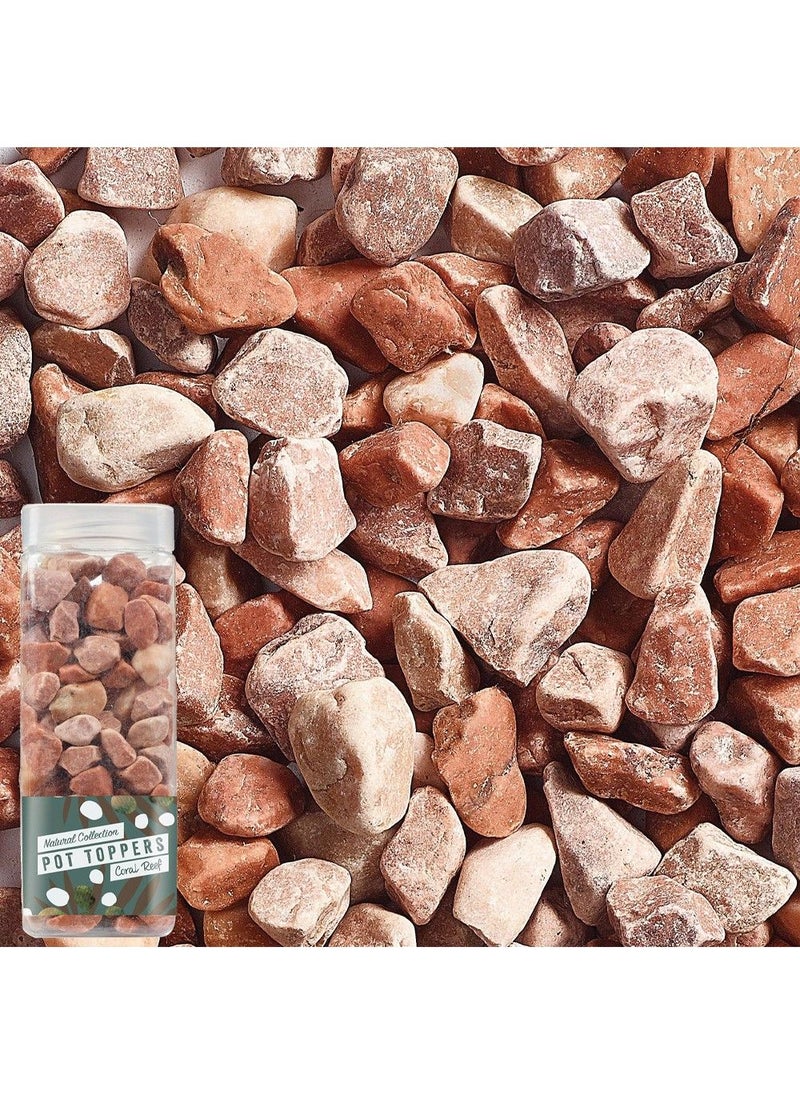 KELKAY Kelkay Pot Toppers Coral Reef 1Kg - Image 4