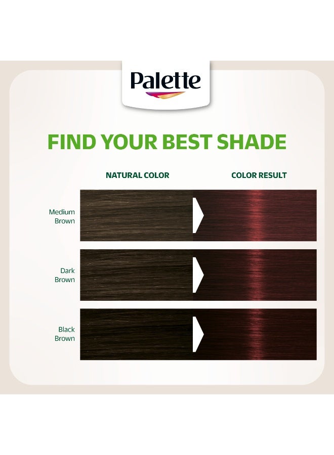 Palette Naturals Permanent Color Creme  3-68  Chocoloate Brown - Image 2