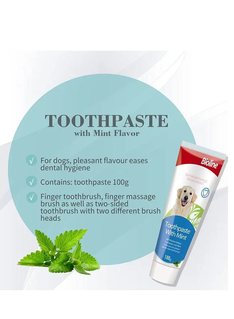 Bioline Dental Care Set, Cleans Teeth and Freshens Breath Mint Flavor -100 Gm - Image 3