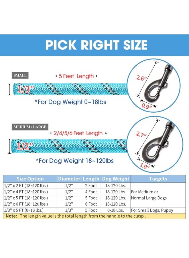 BAAPET 2/4/5/6 FT Dog Leash with Comfortable Padded Handle and Highly Reflective Threads for Small Medium and Large Dogs (6FT-1/2'', Blue) - Image 4