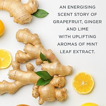 Baylis & Harding مجموعة هدايا حقيبة الغسيل بايليس هاردينغ ويلنس للرجال المنعشة صديقة للنباتيين عبوة من 1 - Image 4