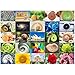 BenBen 1000 Piece Puzzle for Adults 25 Fibonacci Spirals in Nature Jigsaw Puzzles with Letters on Back Challenging Puzzle for Game Night Home Dcor - Image 2
