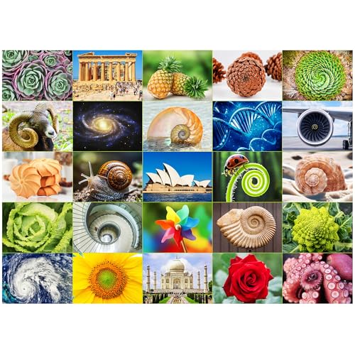 BenBen 1000 Piece Puzzle for Adults 25 Fibonacci Spirals in Nature Jigsaw Puzzles with Letters on Back Challenging Puzzle for Game Night Home Dcor - Image 1