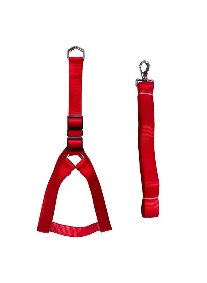 Emily Pets Dog Haness And Leash Set,Adjustable Nylon With Red Padding Dog Training Dog Harness For Large Dogs No Pull, With Heavy Duty Dog Leash, Pet Set For Large Medium Small Dogs(Red 32Mm) - Image 2
