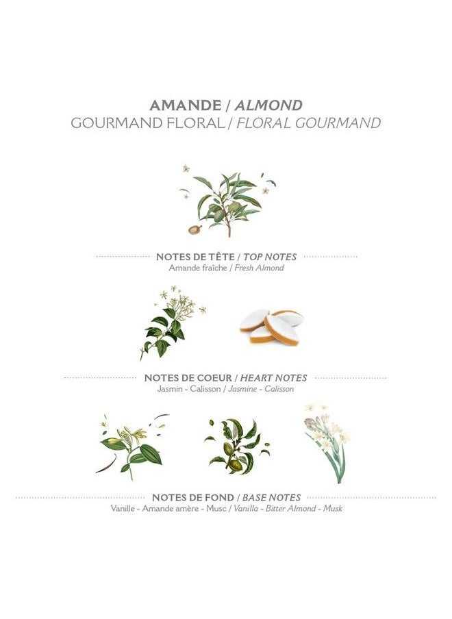 PANIER DES SENS Almond Hand Cream For Dry Cracked Hands With Olive Oil Made In France 97% Natural 1Floz/30Ml  - Image 4