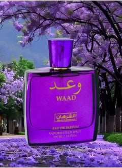 Waad Perfume 100ML - pzsku/ZB5487F259986BFA14741Z/45/_/1731056163/fc9d13ee-310b-4293-bd19-cc038f9685d9