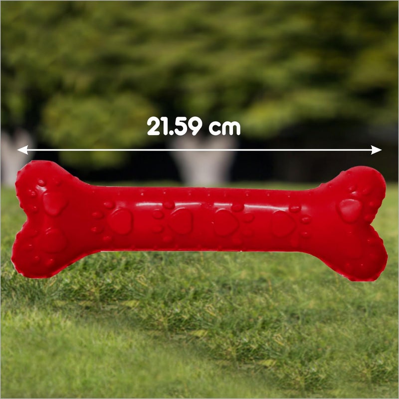 Drools Non-Toxic Rubber Dog Toy (Large - 21.59 cm) Pack | Durable Chewing | Promotes Dental Health | Aids Weight Management - Image 4