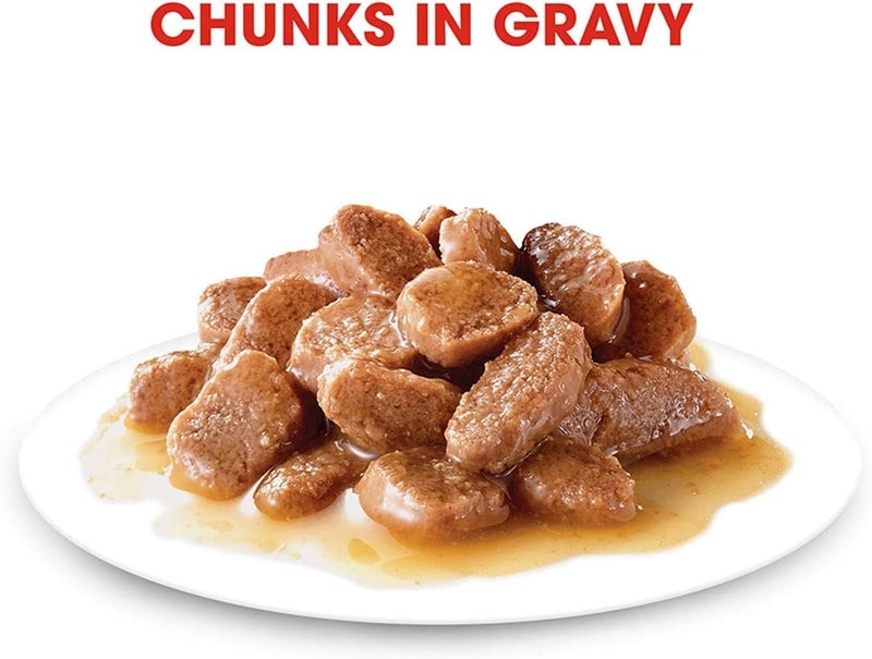 ROYAL CANIN طعام رويال كانين للقطط البالغة من سلالة ماين كون - 85 جرام - Image 2