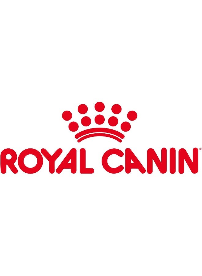 ROYAL CANIN طعام رويال كانين للقطط البالغة من سلالة ماين كون - 85 جرام - Image 3