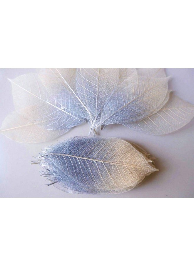 Thai Decorated - 100 Pcs Skeleton Leaves Silver/Natural Color Two Tone Rubber Tree Natural Scrapbooking Craft Diy Card Wedding Small Leaves ( Silver/Natural) - Image 1