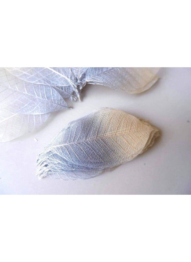 Thai Decorated - 100 Pcs Skeleton Leaves Silver/Natural Color Two Tone Rubber Tree Natural Scrapbooking Craft Diy Card Wedding Small Leaves ( Silver/Natural) - Image 1