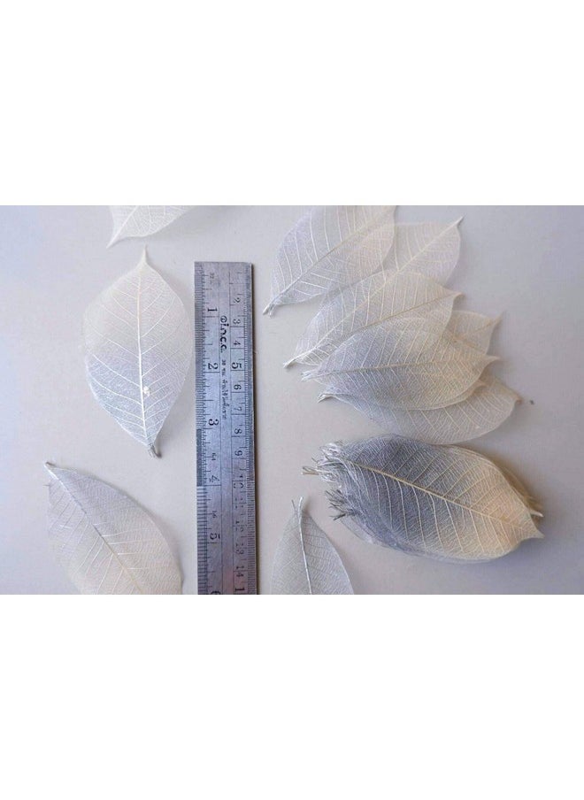 Thai Decorated - 100 Pcs Skeleton Leaves Silver/Natural Color Two Tone Rubber Tree Natural Scrapbooking Craft Diy Card Wedding Small Leaves ( Silver/Natural) - Image 1