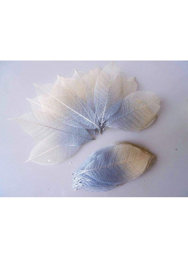 Thai Decorated - 100 Pcs Skeleton Leaves Silver/Natural Color Two Tone Rubber Tree Natural Scrapbooking Craft Diy Card Wedding Small Leaves ( Silver/Natural) - Image 1