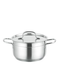PROCILA Alpha Stainless Steel Cooking Pot 26CM Silver With 5 Induction Layers Bottom 