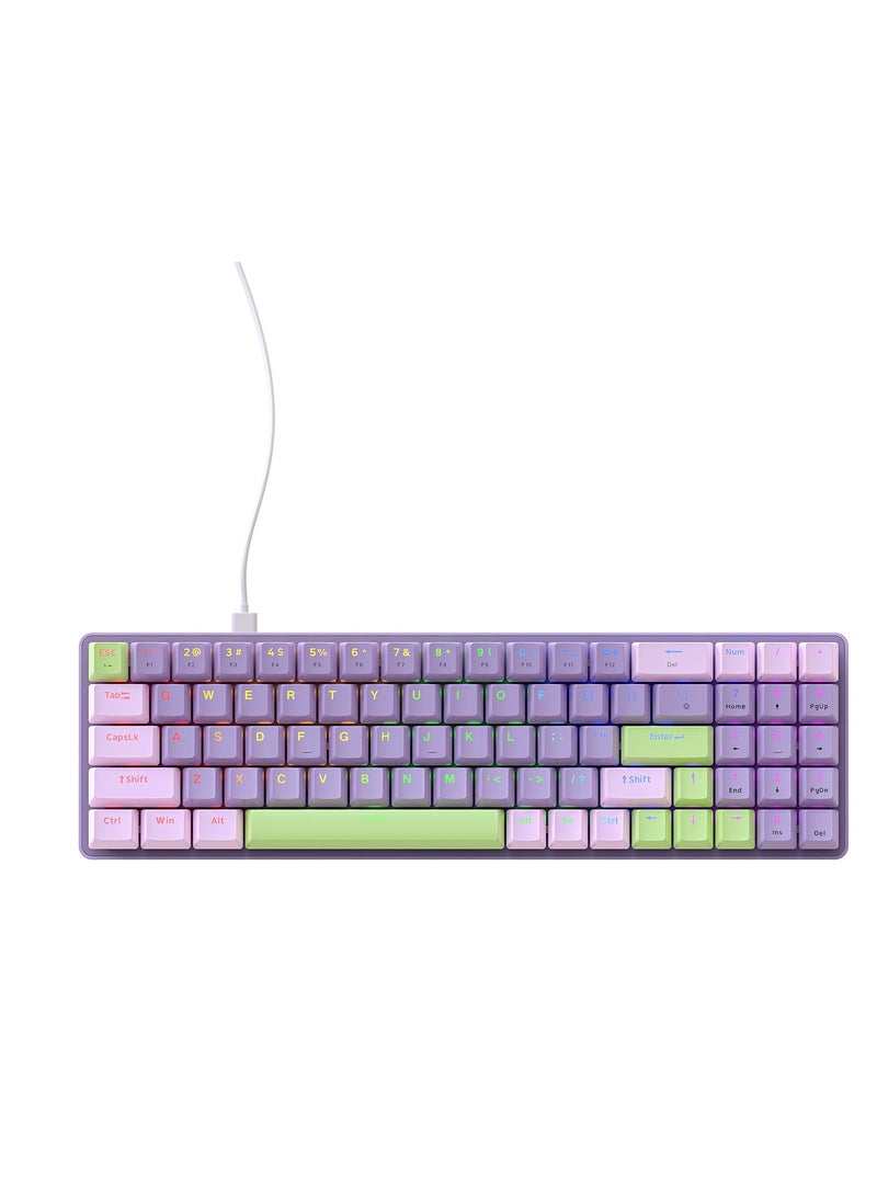 GULFLINK K65 Wired Mechanical Gaming Keyboard Hot Swappable RGB Backlit Simple Design DIY Keyboard for Gamer- Lavender - Image 1