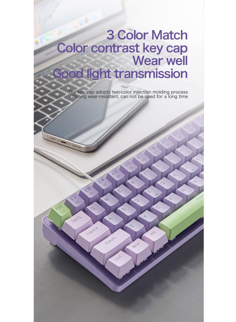 GULFLINK K65 Wired Mechanical Gaming Keyboard Hot Swappable RGB Backlit Simple Design DIY Keyboard for Gamer- Lavender - Image 2