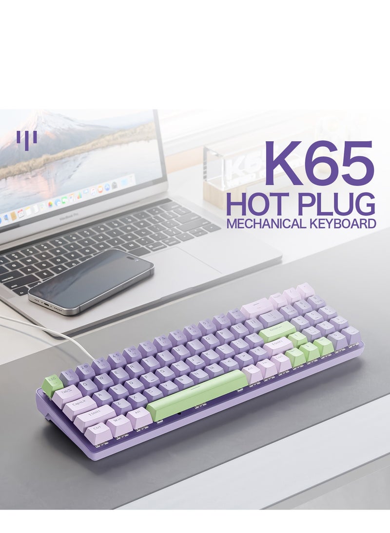 GULFLINK K65 Wired Mechanical Gaming Keyboard Hot Swappable RGB Backlit Simple Design DIY Keyboard for Gamer- Lavender - Image 5