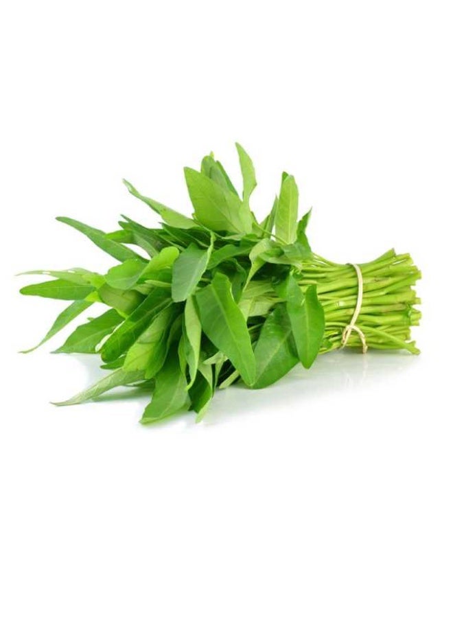 Kang Kong, 70g to 90g, UAE
