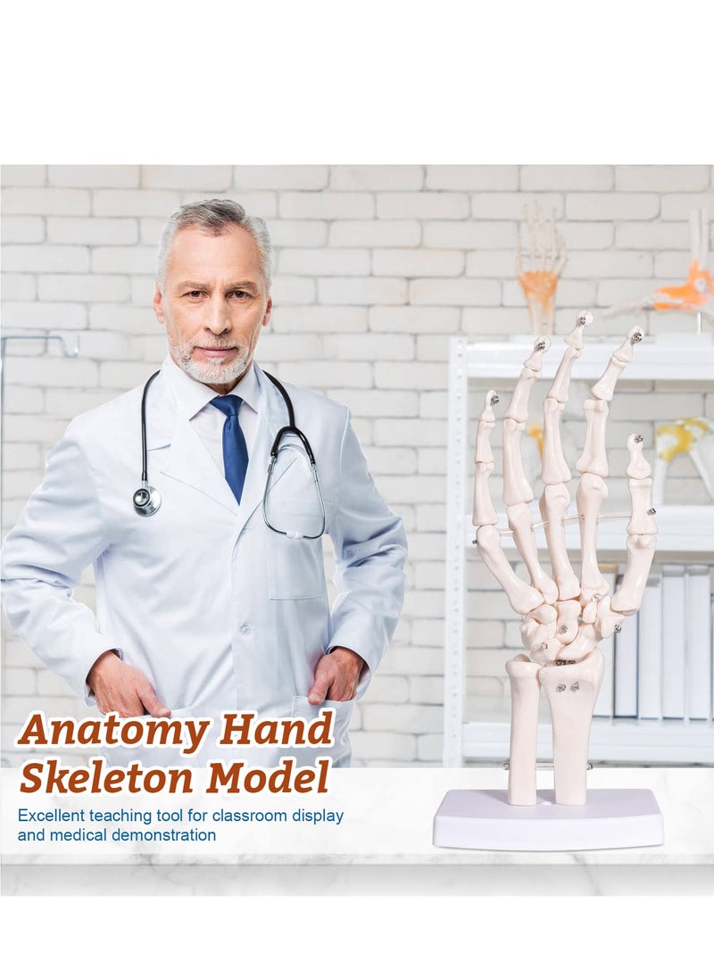 Generic - Hand Skeleton Model - Medical Human Finger Bone Anatomy Bendable - Image 1
