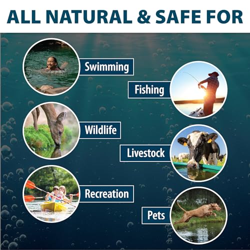 Airmax Pond Dye Packets Nature's Blue Colorant for Large Pond & Lake, Beneficial UV Blocking Color Concentrate, Maintain Clean & Clear Water, Fish Safe, Easy Treatment, 2 Soluble Packets - Image 5