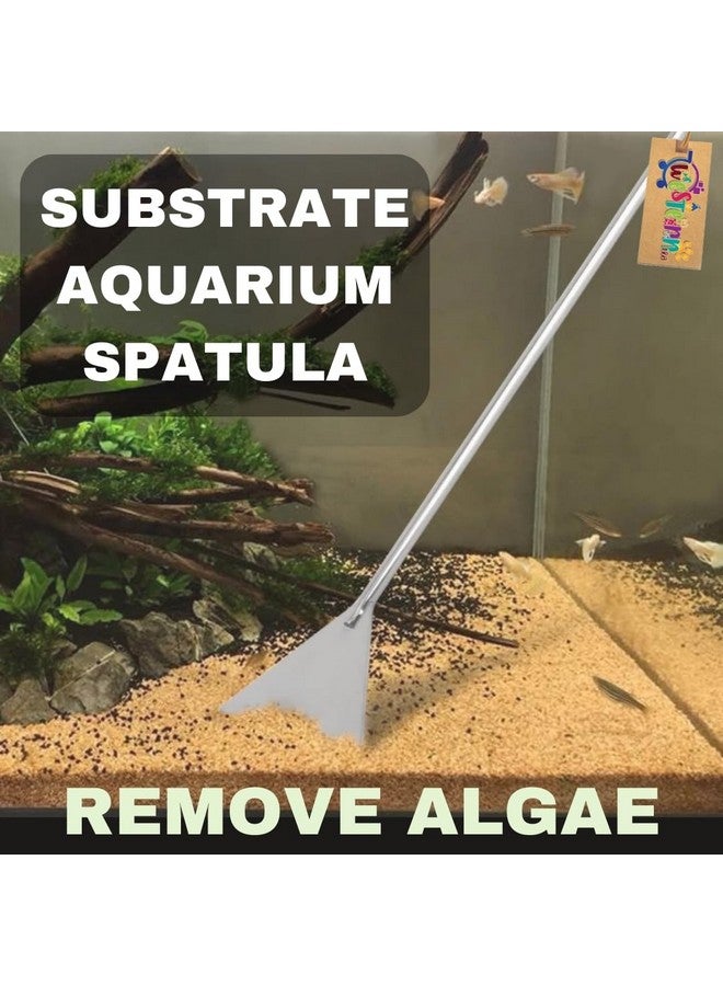 ويستيرن إرا مكشطة الطحالب ثنائية الجوانب من الفولاذ هي مكشطة طحالب ممتازة من الفولاذ المقاوم للصدأ مصممة لتنظيف زجاج حوض السمك بأقصى قدر من الكفاءة. تتميز بتصميمها المبتكر 2 في 1. - Image 3