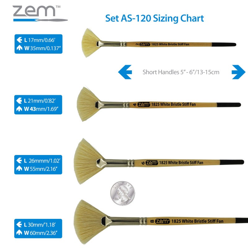 ZEM BRUSH White Hog Bristle Stiff Fan Brush Set Size 2,4,6,8 - Image 4
