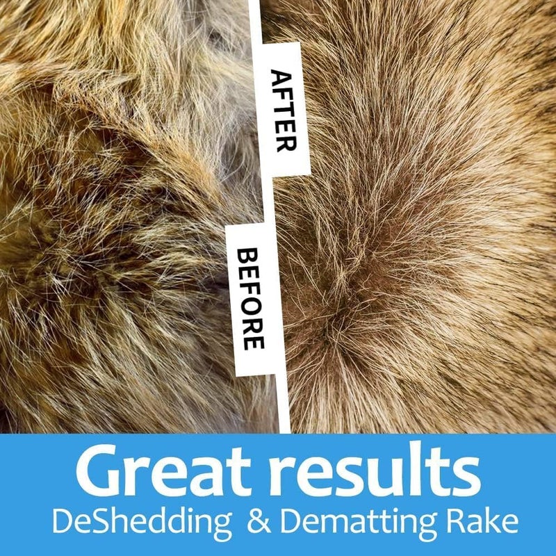 Brighterbee Pet Grooming Brush for Dogs/Cats, 2 in 1 Deshedding Tool & Undercoat Rake Dematting Comb for Mats & Tangles Removing, Reduces Shedding Great for Short(Pet Grooming Brush) - Image 4