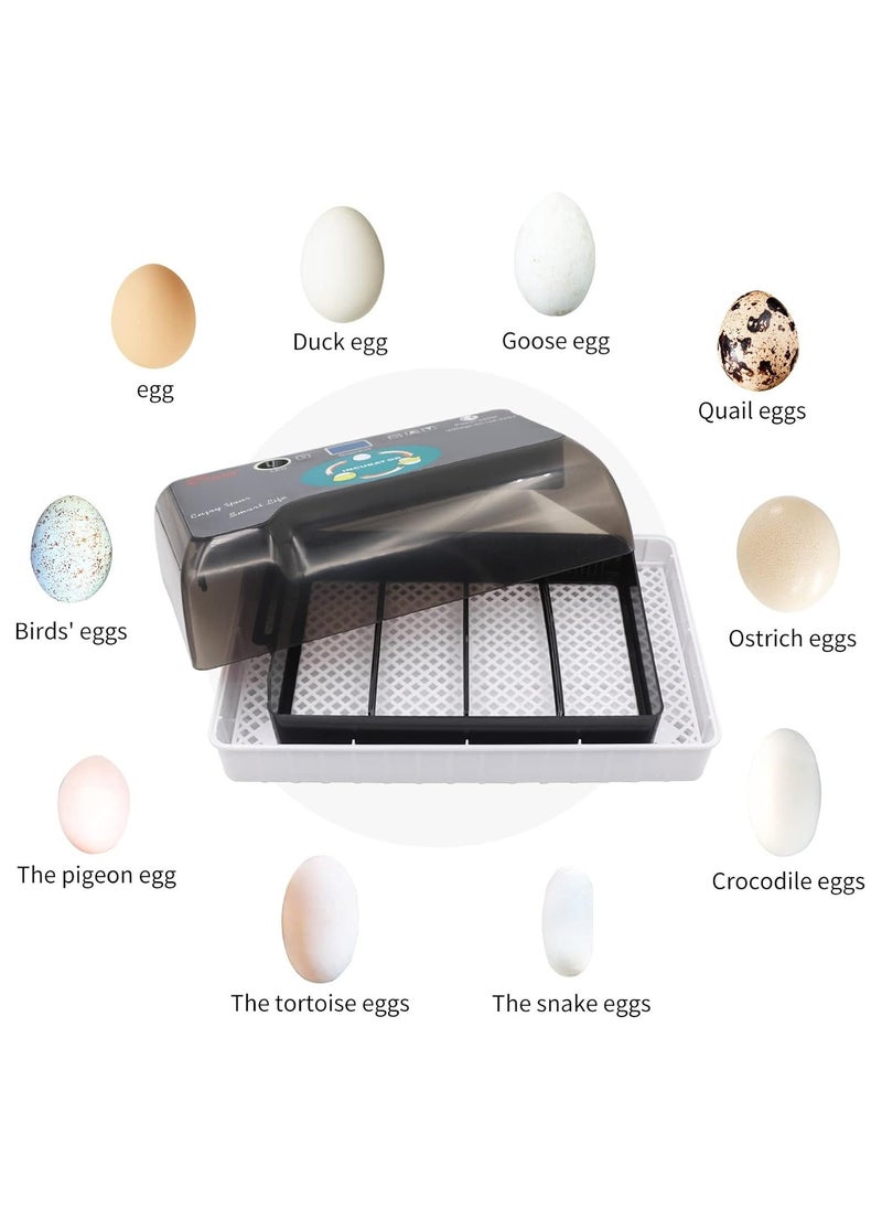 Generic - Egg Incubator, 12 Tortoise Egg Incubator, Reptile Hatcher, Thermostatic Tortoise Brooder, with Auto Egg Turner Visible Lid Digital LED Display, for Egg Incubation Beginner Child Education Gift - Image 1