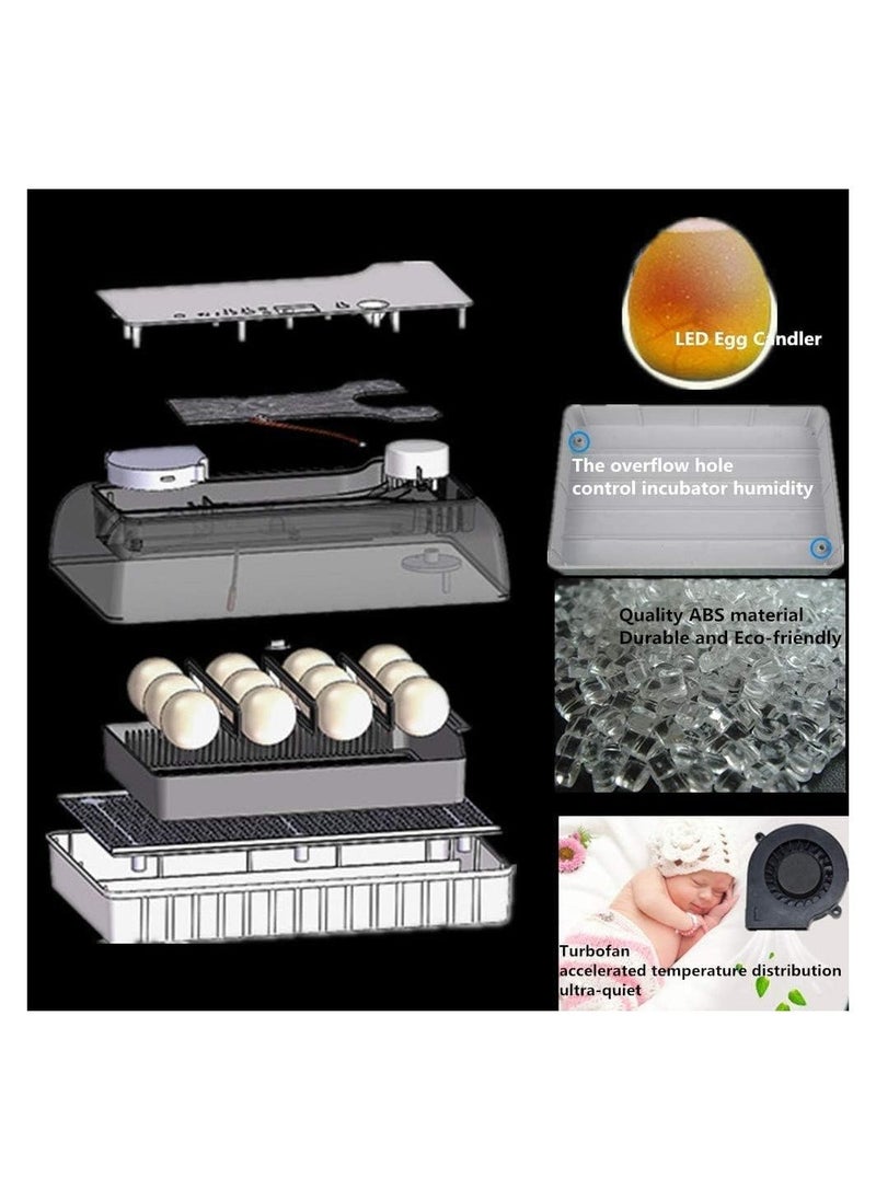 Generic - Egg Incubator, 12 Tortoise Egg Incubator, Reptile Hatcher, Thermostatic Tortoise Brooder, with Auto Egg Turner Visible Lid Digital LED Display, for Egg Incubation Beginner Child Education Gift - Image 1