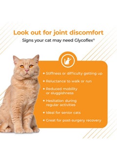 VetriScience Laboratories Glycoflex 3, Clinically Proven Joint Support Cat Supplements  Hip And Joint Health Supplement With Glucosamine, Msm, Green Lipped Mussel & Dmg  60 Chews, Chicken Flavor  - Image 3
