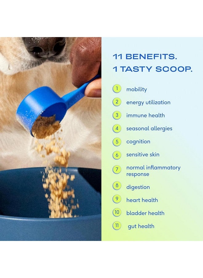 Native Pet Dog Vitamins & Supplements - 11-in-1 Multivitamin Powder for Dogs Food Topper - Collagen, Glucosamine, Probiotics, Omega & More- Supports Healthy Gut, Mobility & Overall Health -60 Scoops - Image 2