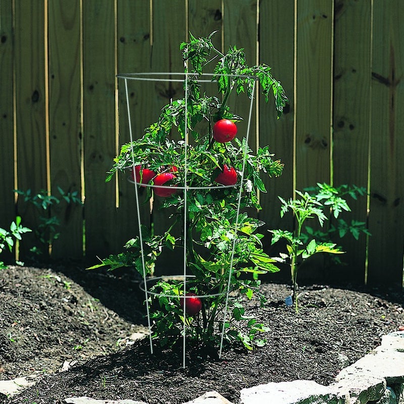 Panacea Products 89723 Tomato and Plant Support Cage,Galvanized, Pack of 10 - Image 2