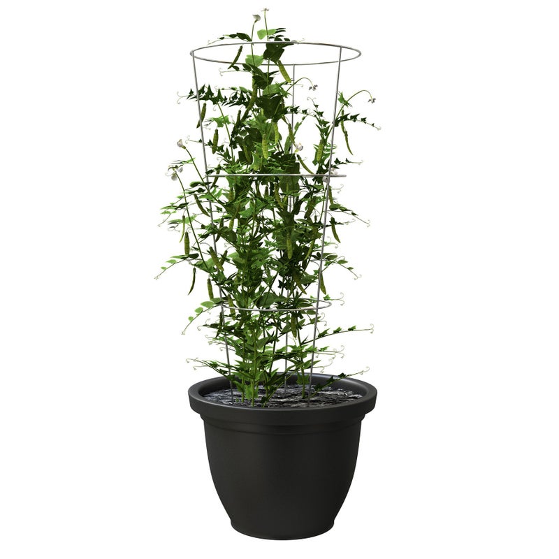 Panacea Products 89723 Tomato and Plant Support Cage,Galvanized, Pack of 10 - Image 4