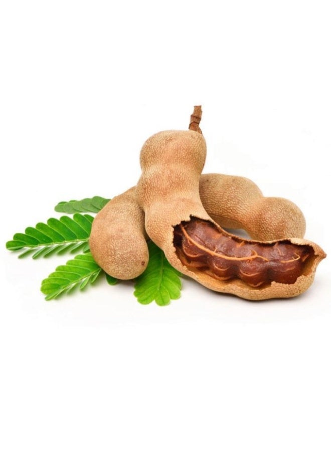 Sweet Tamarind , 500g , Thailand