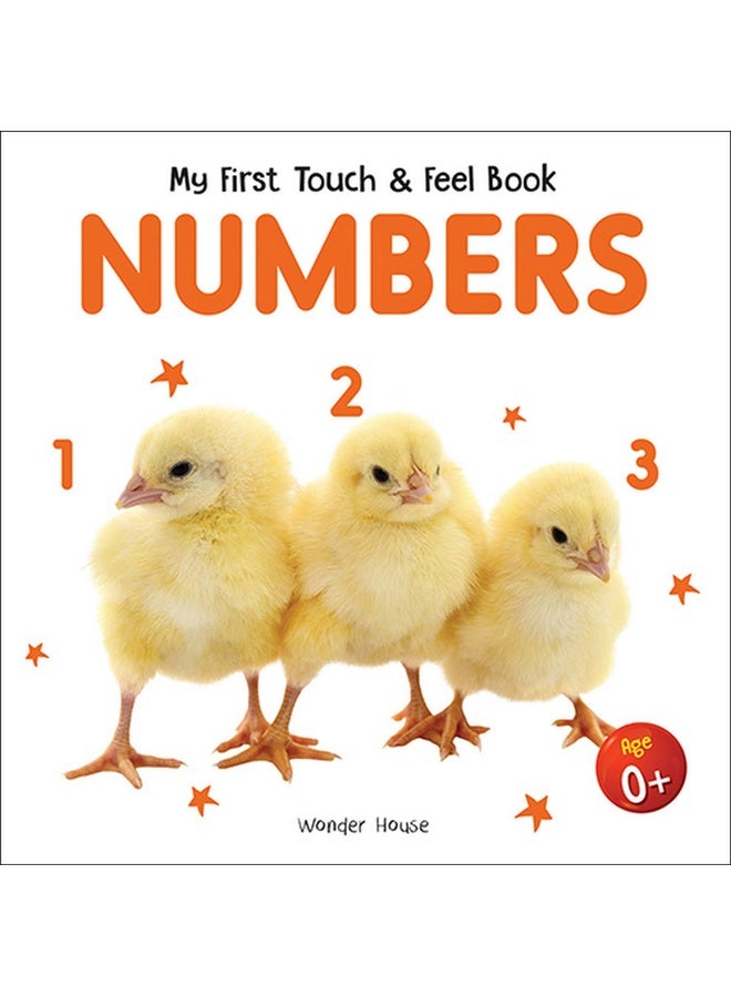 My First Book of Touch And Feel - Numbers : Touch And Feel Board Book For CHildren
