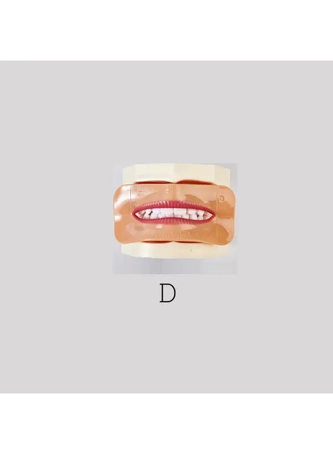 Dental Fake Lips Model D Realistic Temporary Prosthesis For Dentistry Training - Image 1