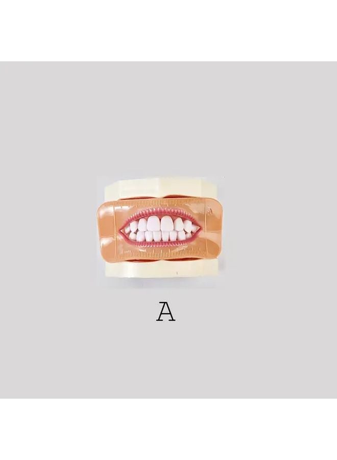 Dental Fake Lips Model D Realistic Temporary Prosthesis For Dentistry Training - Image 5