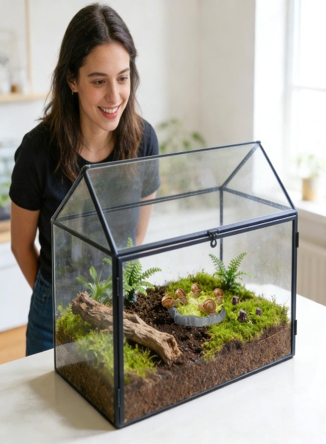 Addveyra Snail Food and Water Bowl Terrarium Feeding Dish for Tank Supplies - Image 2
